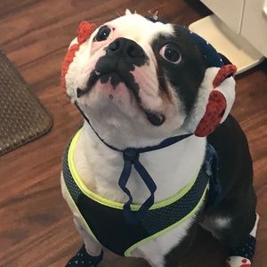 Meet your Posher, Heather